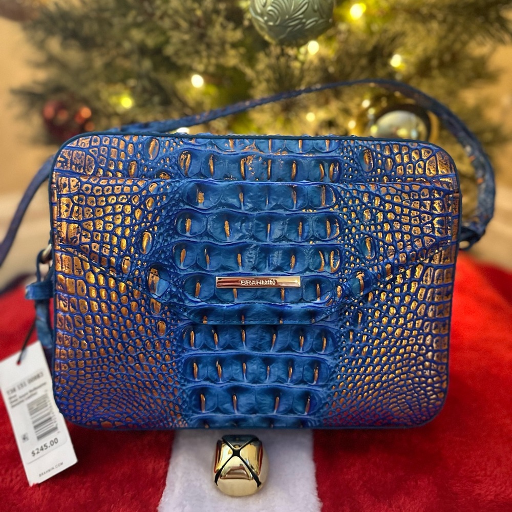 NWT Brahmin Bag!